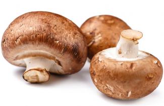 Micoimmuno Agaricus